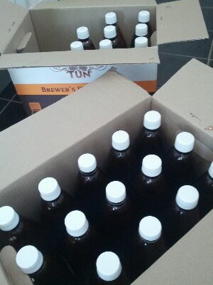 IMG_20130219_121032.jpg image