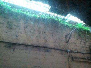 The view from my hotel room up to Little Bourke St and those crappy truck drivers.