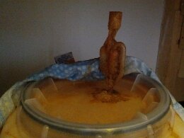 IMG_20131129_100021.jpg image