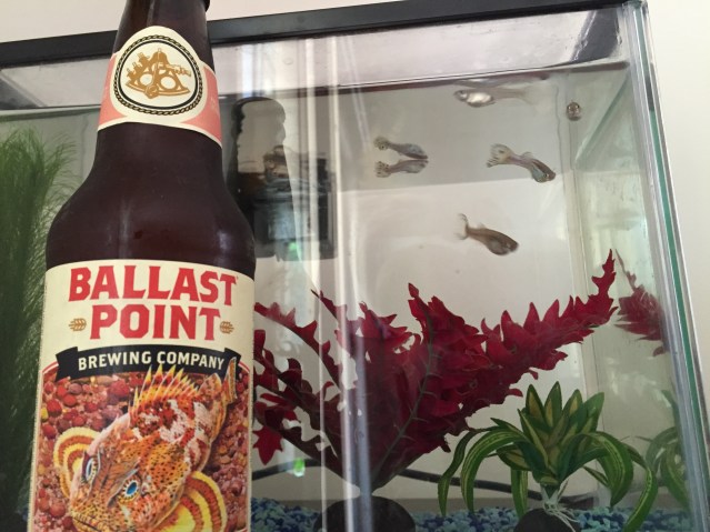sculpin